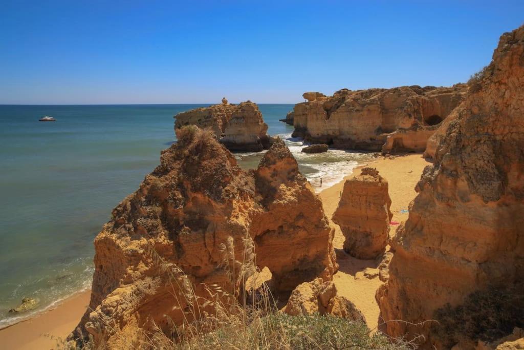 Superbe Paradis Dans Les Jardins De La Marina Albufeira Exteriér fotografie